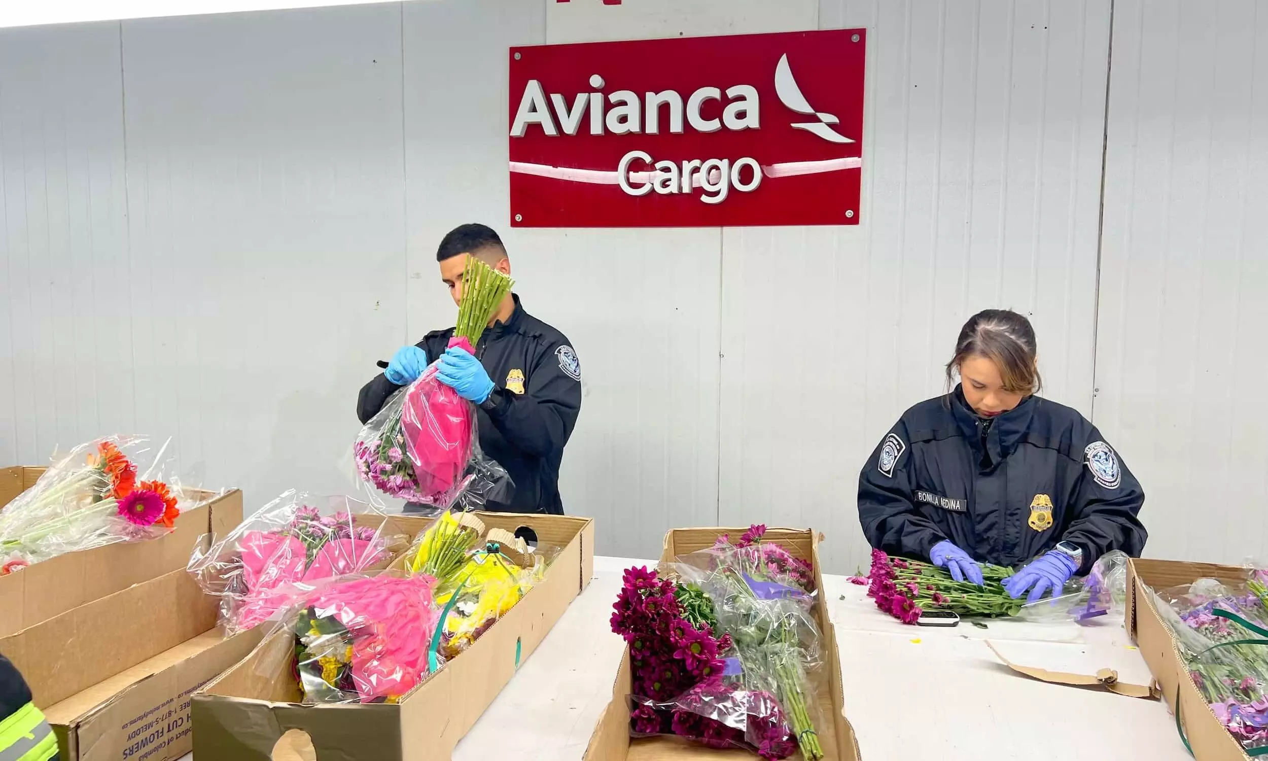 Avianca Cargo transports more than 400mn flower stems to US
