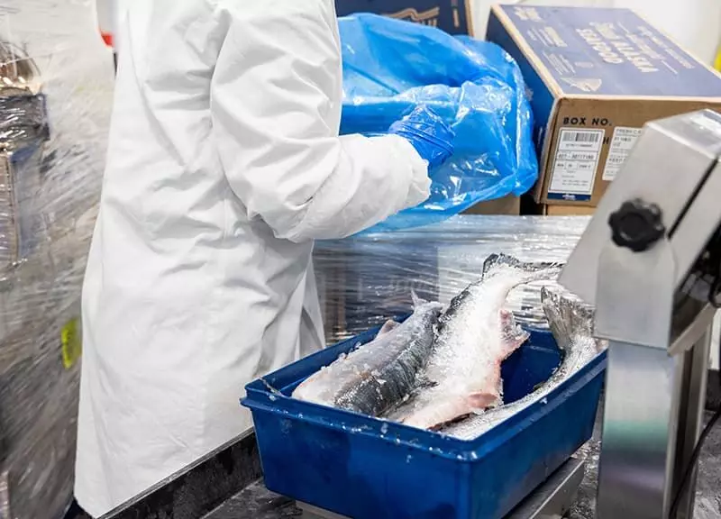 Sockeye salmon on its way to Whole Foods Market (Image source: Whole Foods Market) Sockeye salmon on its way to Whole Foods Market (Image source: Whole Foods Market)