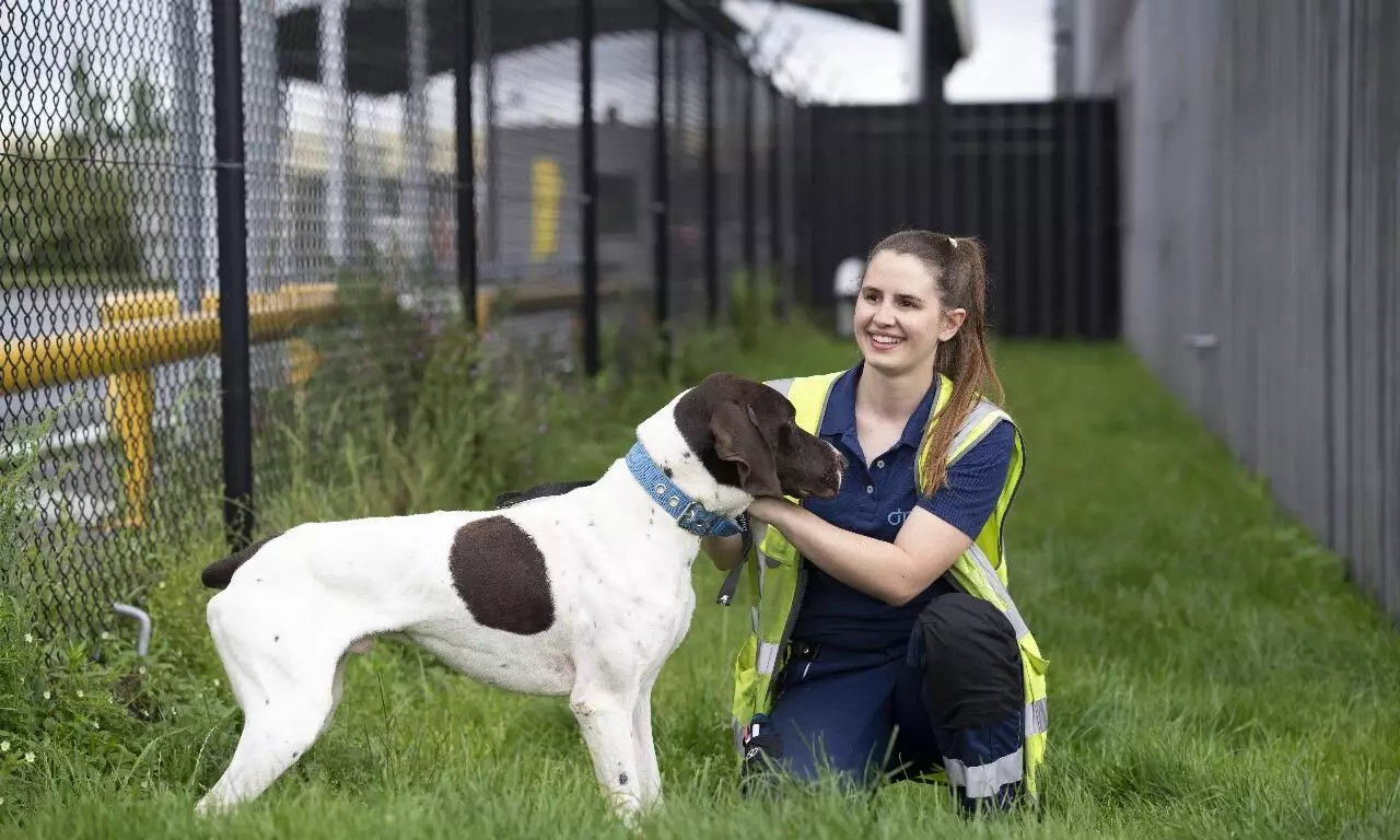 dnata transports over 6,500 animals via Brussels