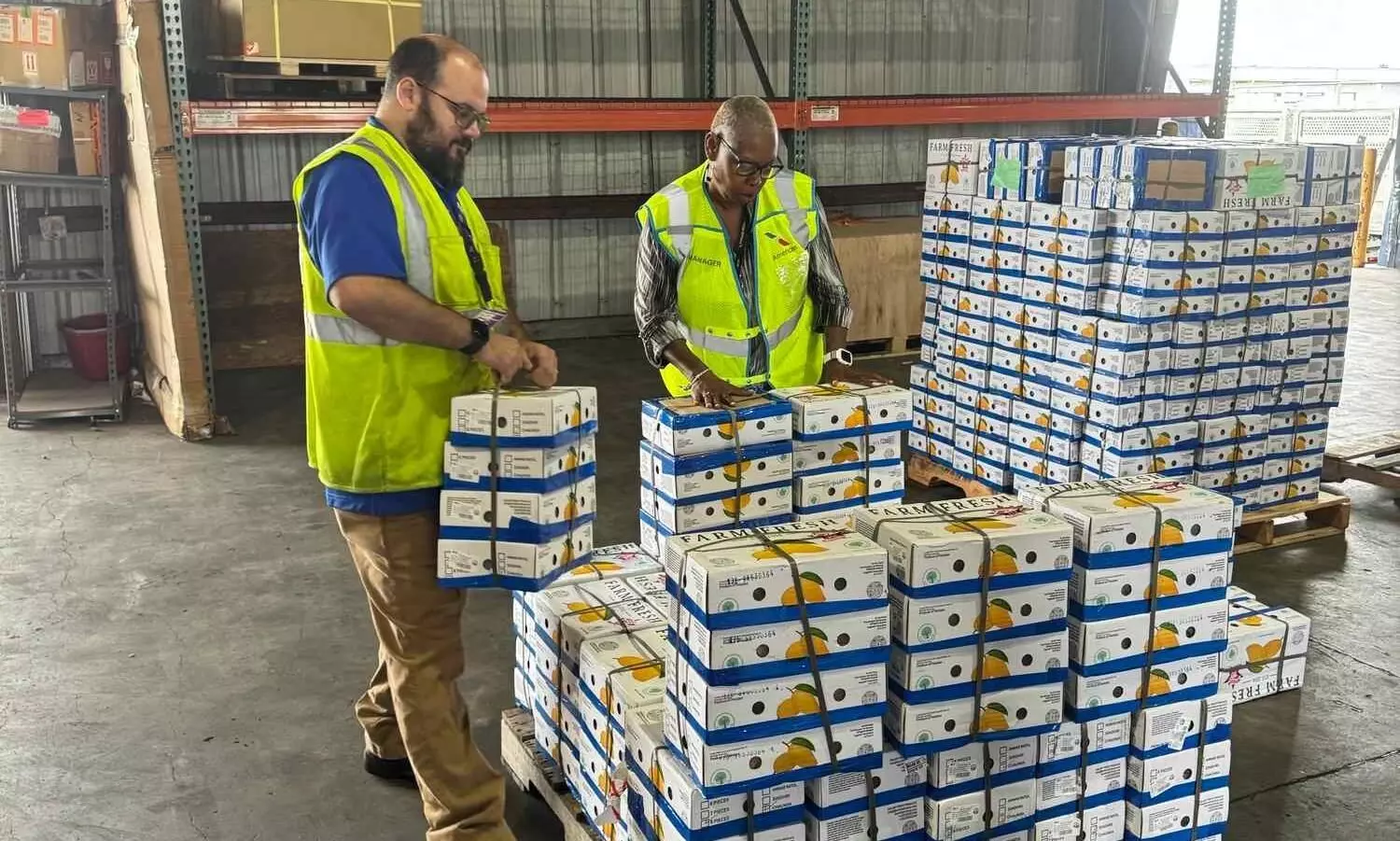 American Airlines Cargo moves increased volumes of mangoes American Airlines Cargo moves increased volumes of mangoes
