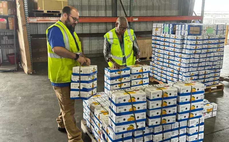 American Airlines Cargo moves increased volumes of mangoes