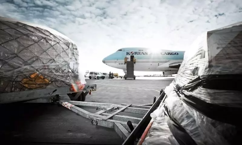 Pharma drives cargo handled at Vienna Airport up 17% in H12024