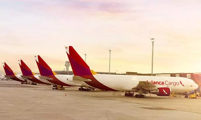 Avianca Cargo to increase capacity for Ecuadors floriculture sector Avianca Cargo to increase capacity for Ecuadors floriculture sector