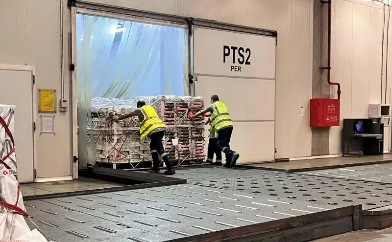 Hermes upgrades cargo system for CACC Cargolinx at Cairo Airport Hermes upgrades cargo system for CACC Cargolinx at Cairo Airport