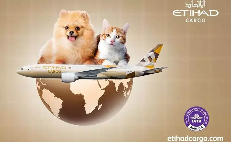 Etihad Cargos new pet policy supports snub-nosed breeds Etihad Cargos new pet policy supports snub-nosed breeds