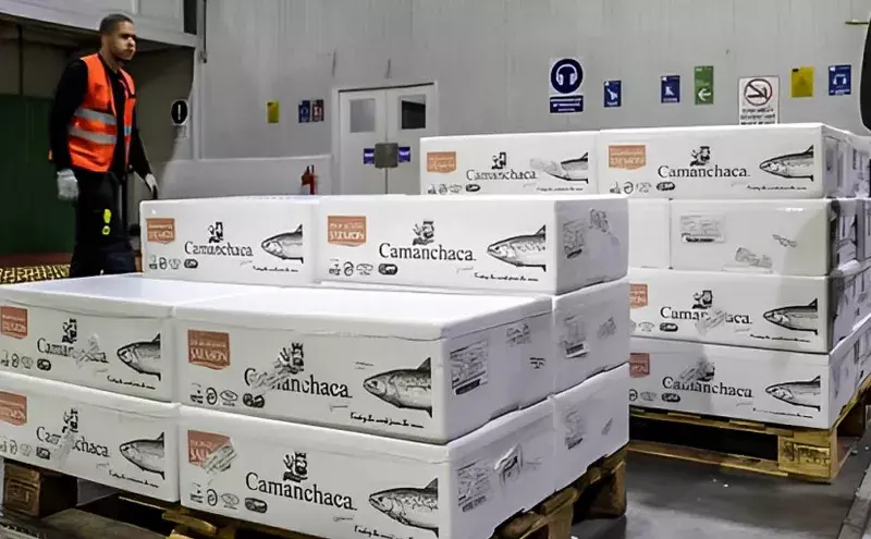 First shipment of Chilean salmon exported to Australia with LATAM First shipment of Chilean salmon exported to Australia with LATAM