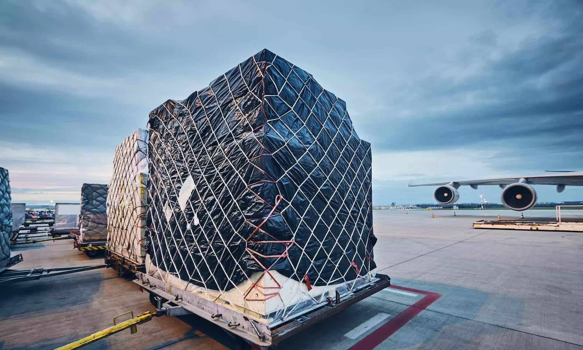 Cargo volumes likely to increase 5.8% in 2025: IATA Cargo volumes likely to increase 5.8% in 2025: IATA