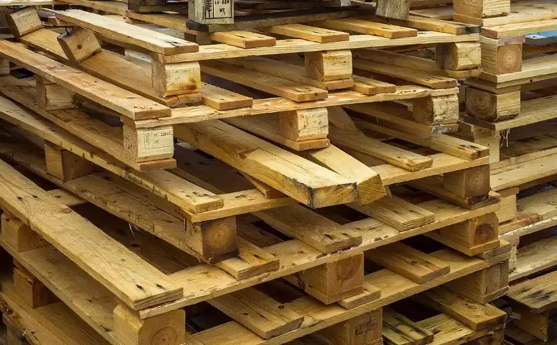 How Air Cargo Carriers Reduce Waste Through Recycling Practises How Air Cargo Carriers Reduce Waste Through Recycling Practises