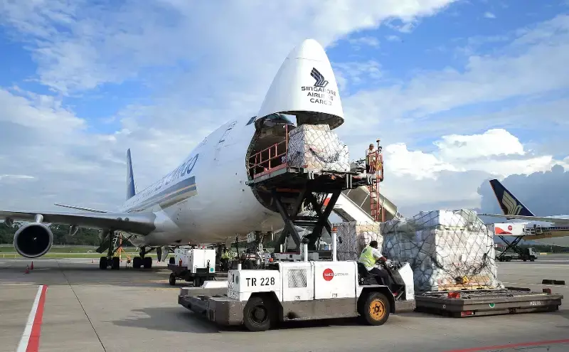 Changi nearly hits 2-million-tonne cargo throughput in 2024 Changi nearly hits 2-million-tonne cargo throughput in 2024