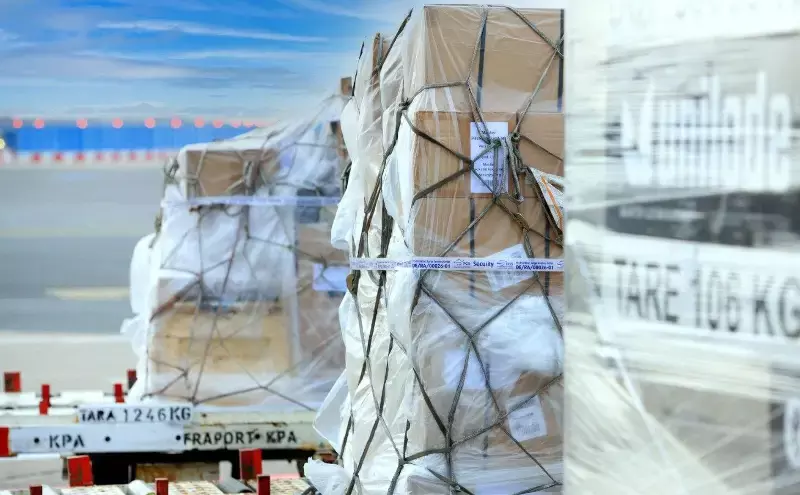 allivate introduces new digital product for EU shipping procedure allivate introduces new digital product for EU shipping procedure