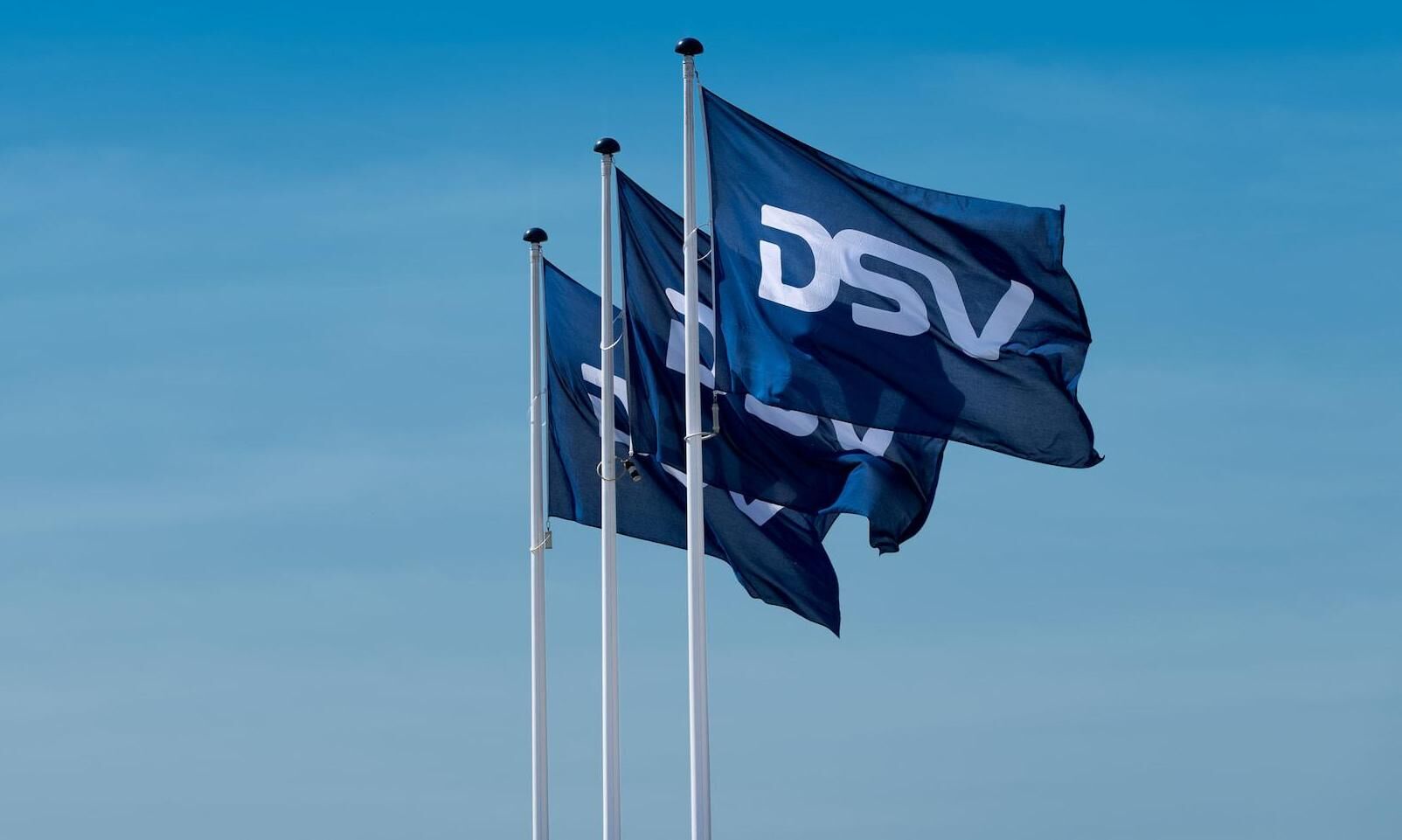 DSV sees online shopping trends shaping air freight rates and capacity