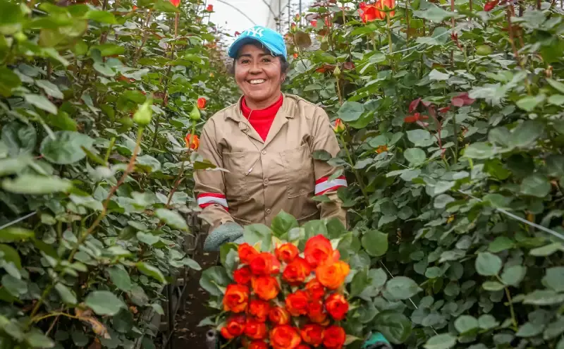 LATAM Group moves nearly 25,000 tonnes flowers for Valentines Day LATAM Group moves nearly 25,000 tonnes flowers for Valentines Day
