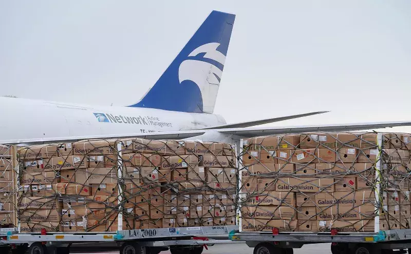 What is Network Aviation’s strategy to boost Kenya’s flower trade? What is Network Aviation’s strategy to boost Kenya’s flower trade?