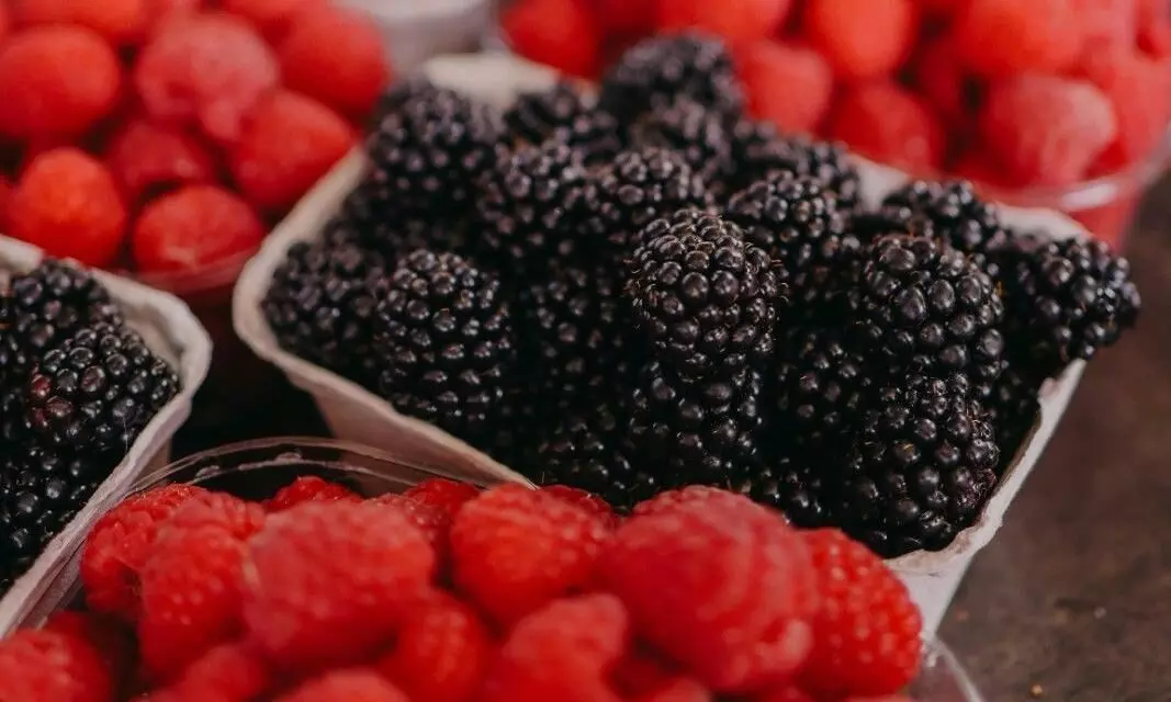 Farm to Table – what’s changing in fresh logistics Farm to Table – what’s changing in fresh logistics