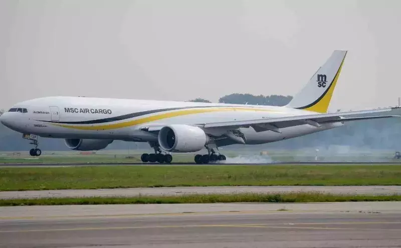 MSC Air Cargo’s growth: From start-up to double digits with iCargo MSC Air Cargo’s growth: From start-up to double digits with iCargo