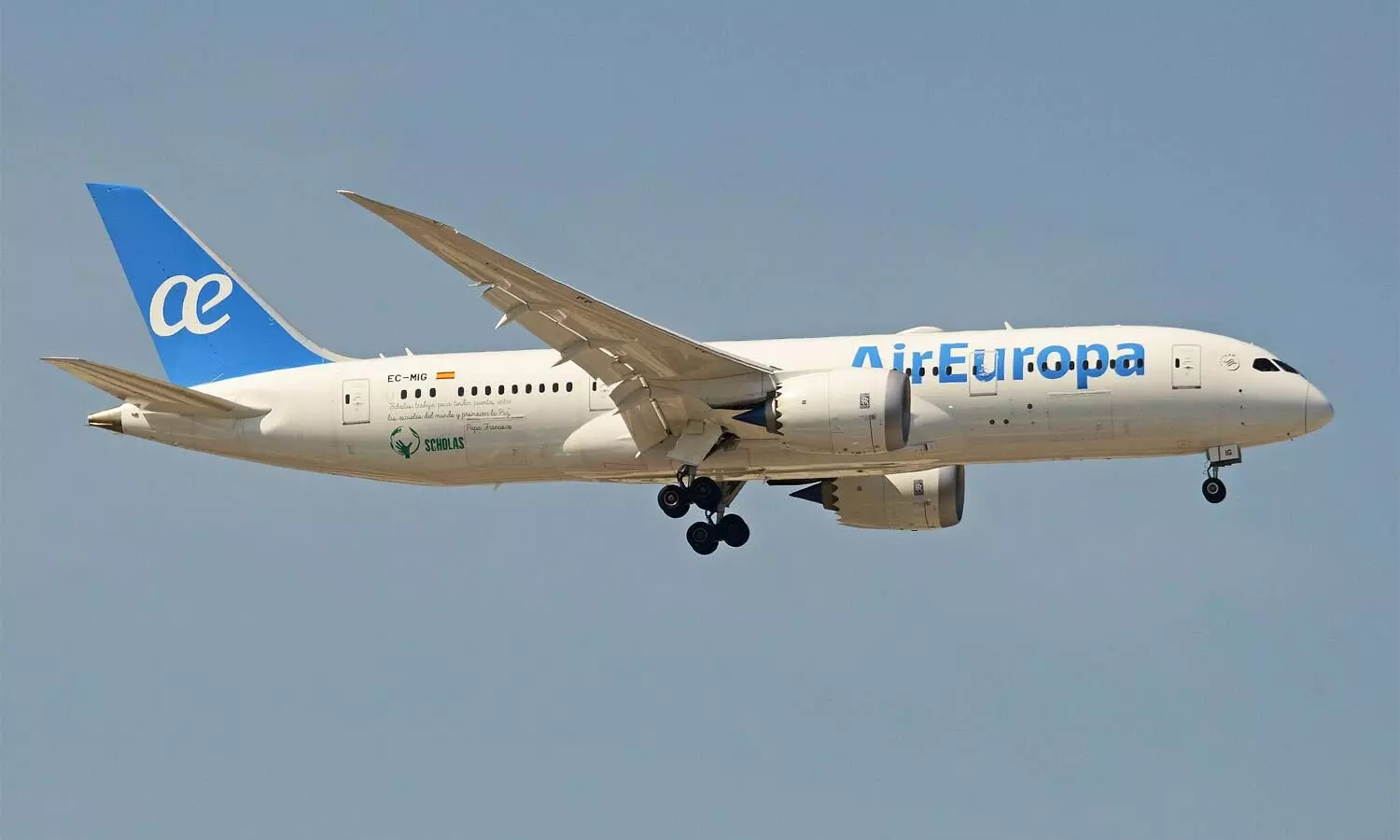 Air Europa joins WebCargo by Freightos platform Air Europa joins WebCargo by Freightos platform