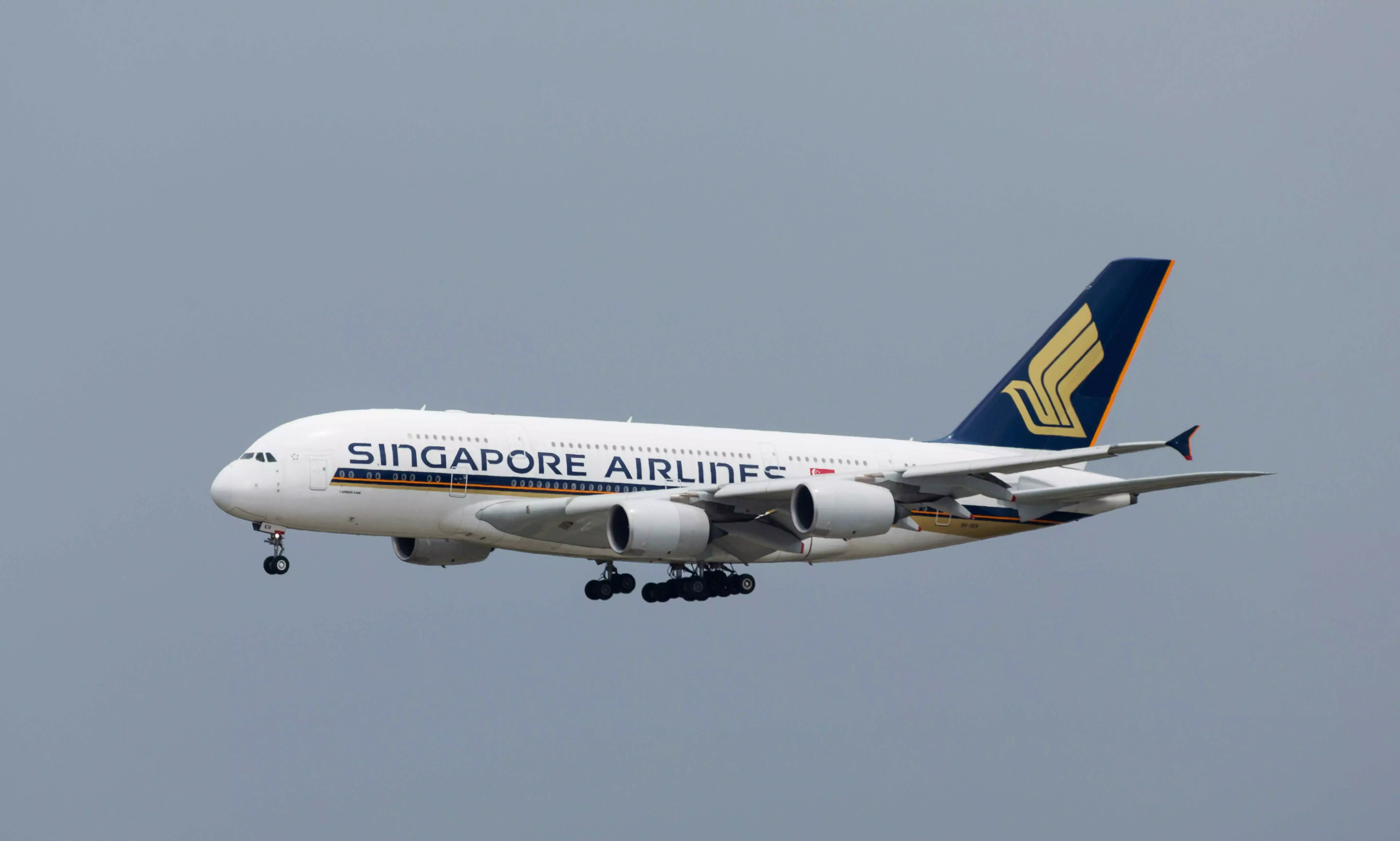 Singapore Airlines FY2025 cargo revenue up 4% on strong demand Singapore Airlines FY2025 cargo revenue up 4% on strong demand