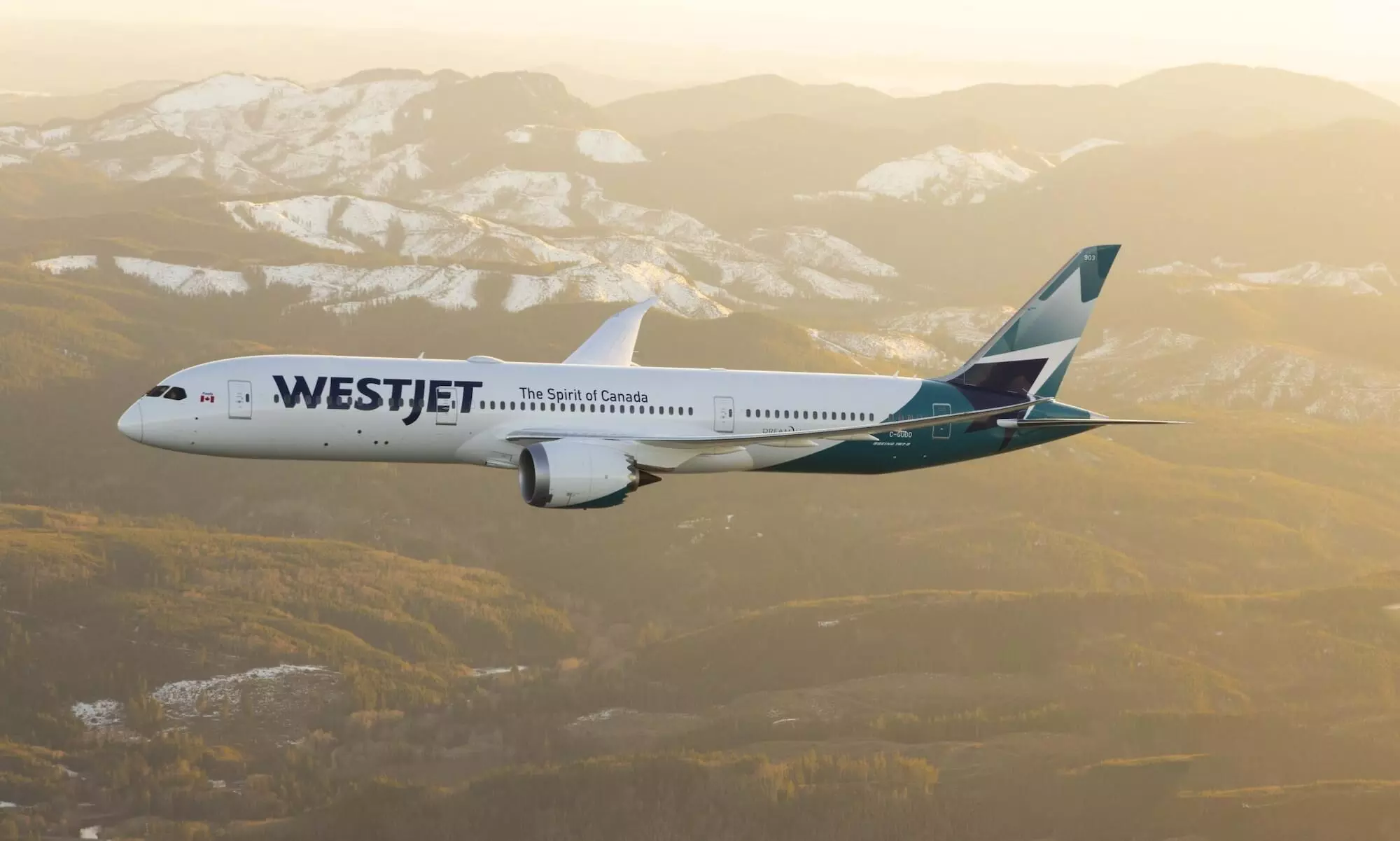 WestJet expands cargo capacity to Japan with Dreamliner service WestJet expands cargo capacity to Japan with Dreamliner service