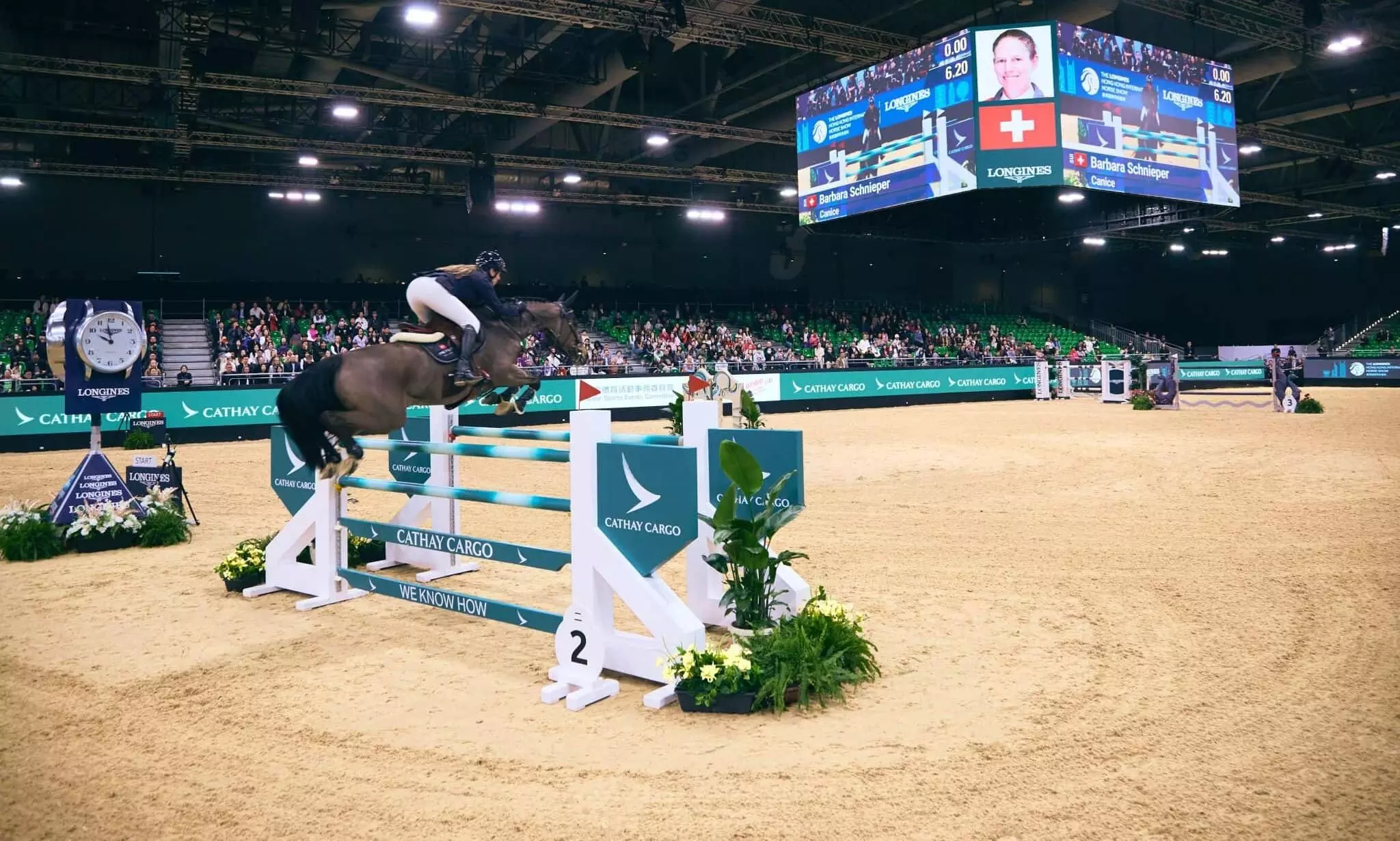 Inside the high-stakes world of flying live animals Inside the high-stakes world of flying live animals