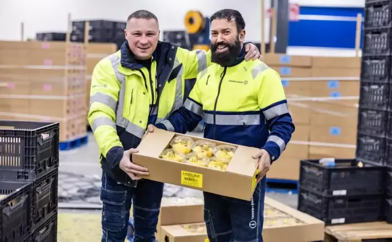 How K+N helps Blue Skies to move fruits from Ghana to Dutch shelves How K+N helps Blue Skies to move fruits from Ghana to Dutch shelves