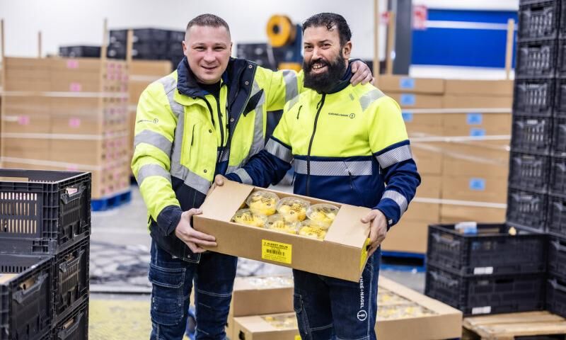 How K+N helps Blue Skies to move fruits from Ghana to Dutch shelves