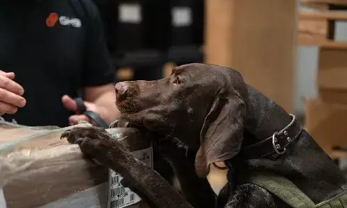 Global K9 to handle all cargo screening for WFS at Dallas and Houston airports