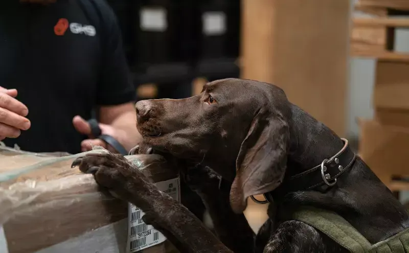 Global K9 to handle all cargo screening for WFS at Dallas and Houston airports Global K9 to handle all cargo screening for WFS at Dallas and Houston airports