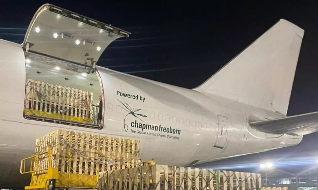 Intradco Global transports 1,200 breeding pigs to the Philippines Intradco Global transports 1,200 breeding pigs to the Philippines