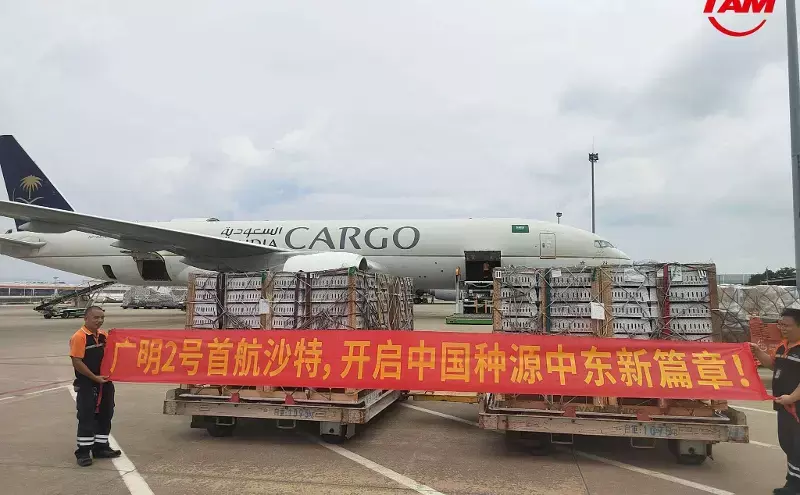 TAM Group and Saudia Cargo complete landmark poultry shipment TAM Group and Saudia Cargo complete landmark poultry shipment