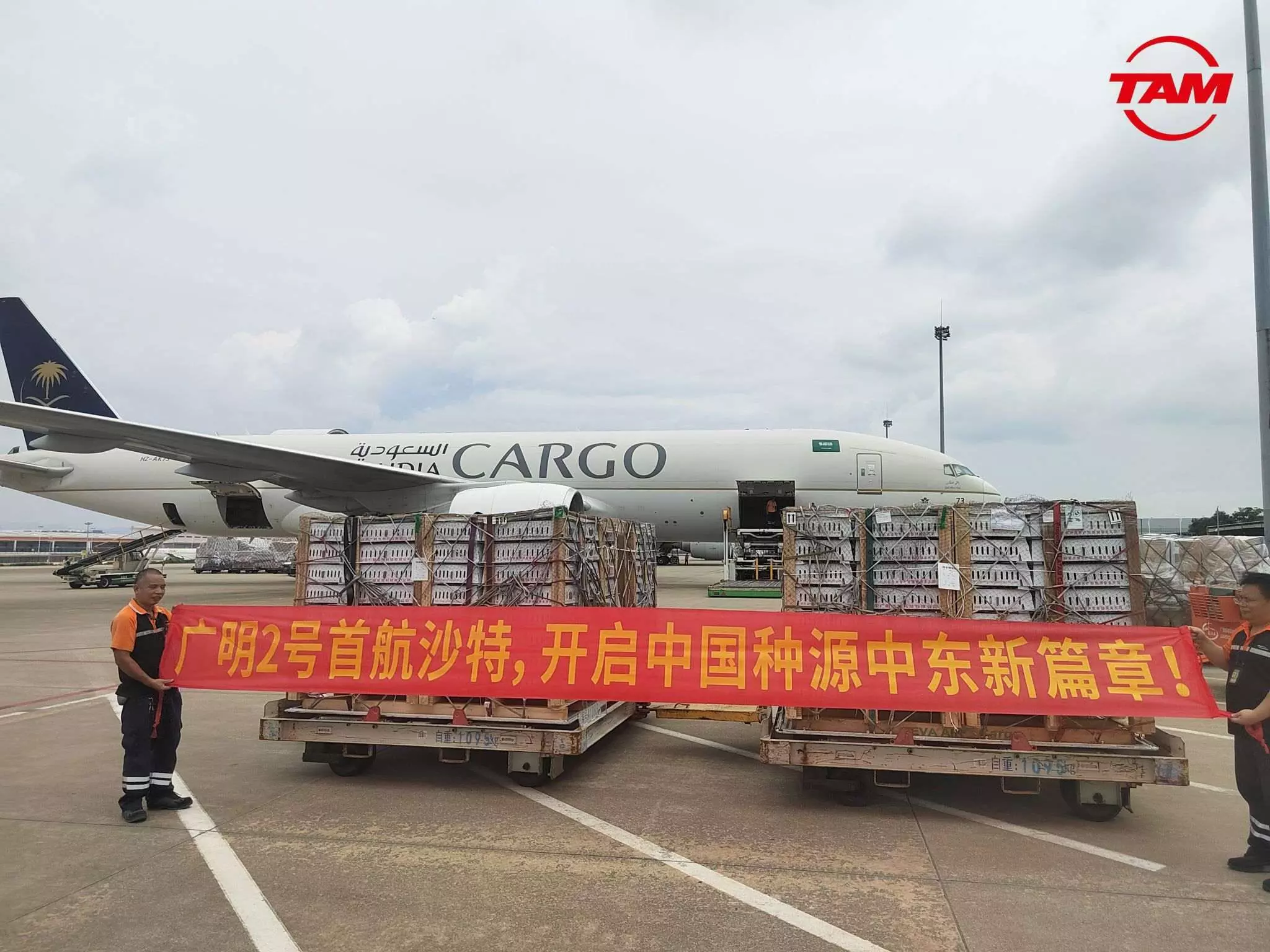 TAM Group and Saudia Cargo complete landmark poultry shipment TAM Group and Saudia Cargo complete landmark poultry shipment