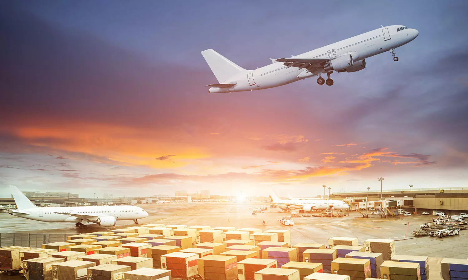 Peak season pressure: Why main deck freighters are mission-critical