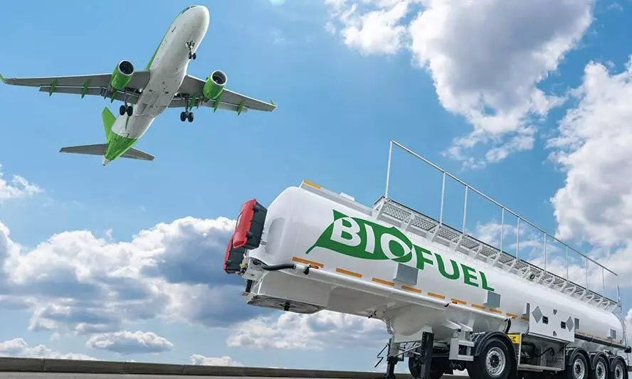 IATA confirms sufficient sustainable aviation fuel feedstock to reach net zero by 2050