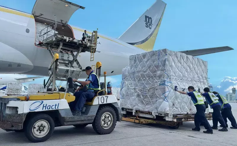 Hong Kong air cargo hit hard by Typhoon Ragasa Hong Kong air cargo hit hard by Typhoon Ragasa