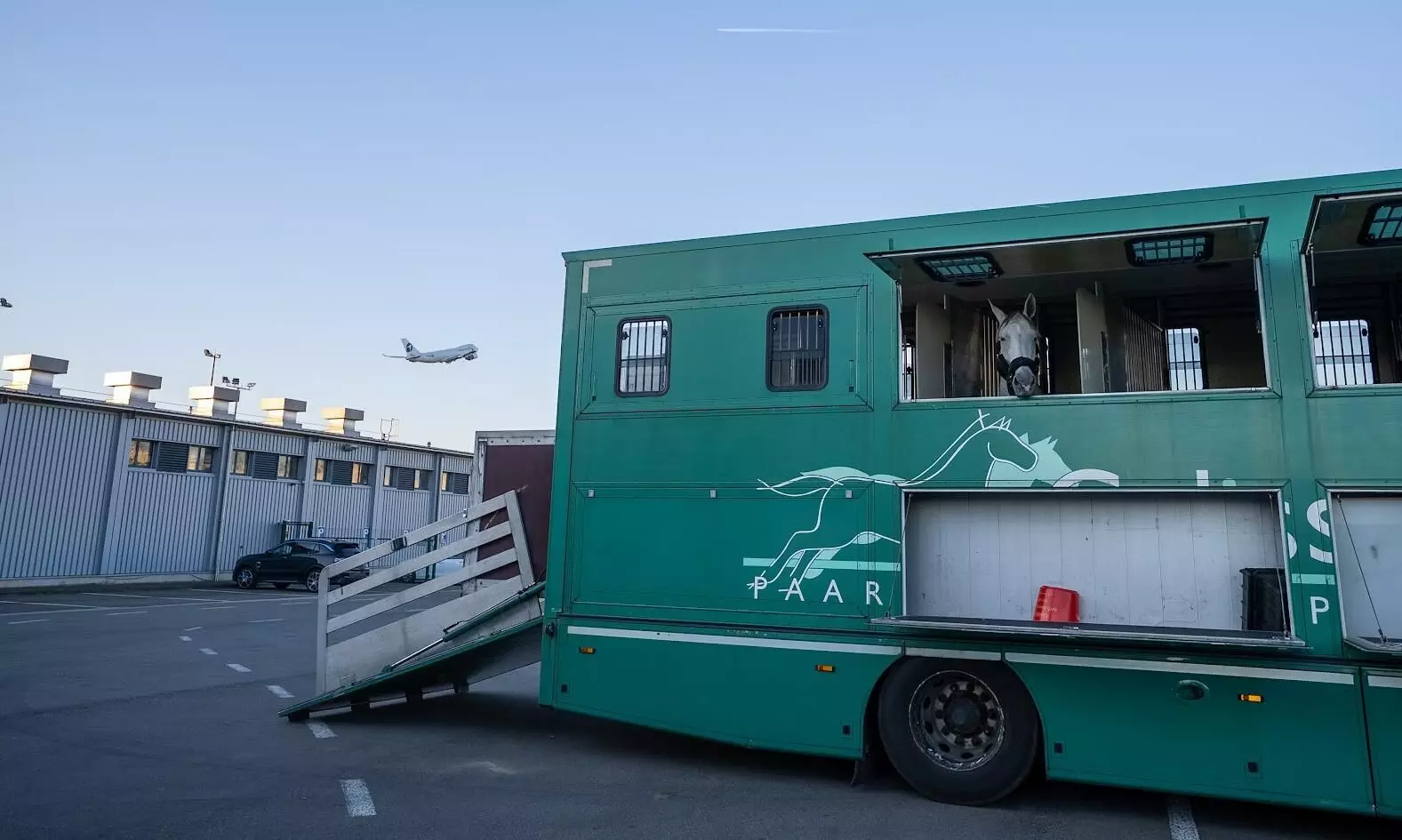 Challenge Group renews IATA CEIV Live animals certification