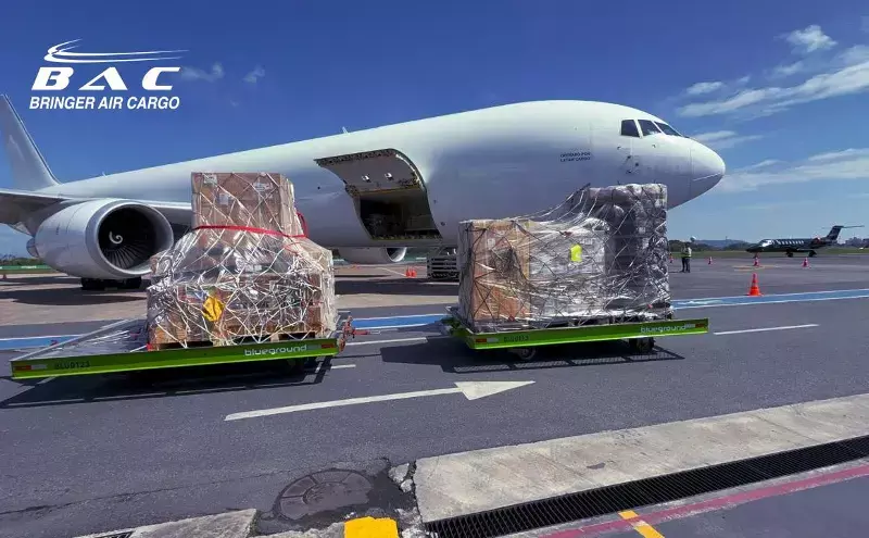 ANAC clears Bringer Air Cargo to expand Miami–Navegantes flights ANAC clears Bringer Air Cargo to expand Miami–Navegantes flights