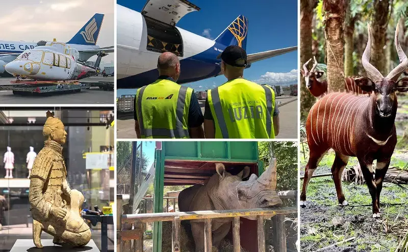 Weirdest cargo of 2025: When air freight moved the unexpected