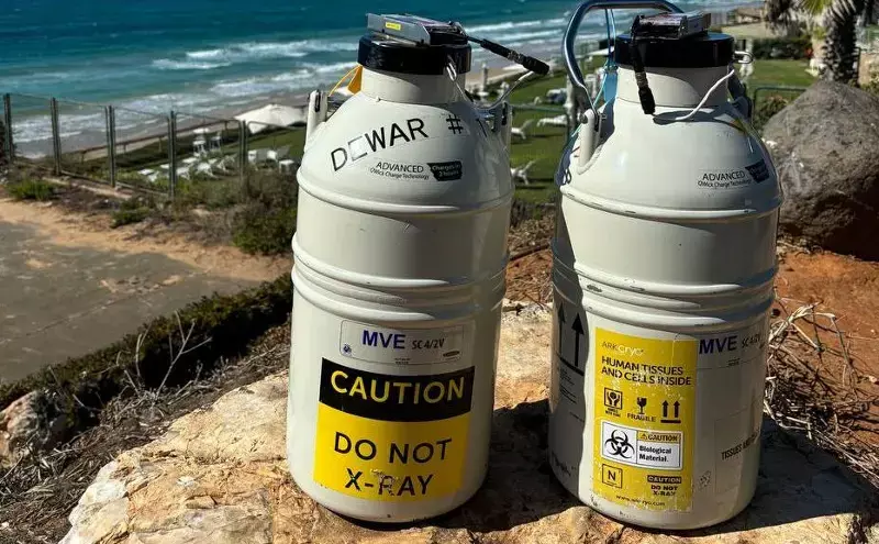 Crossing borders before birth: The logistics behind embryo transport