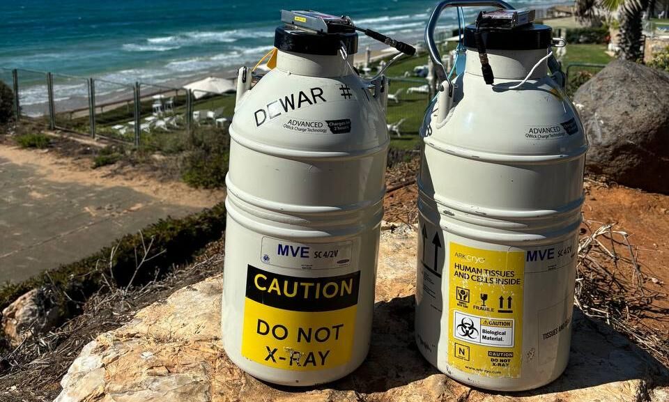 Crossing borders before birth: The logistics behind embryo transport