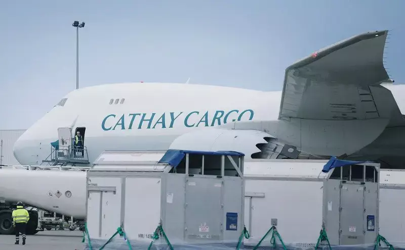 Cathay Cargo flies 60 showjumping horses from Europe to Hong Kong Cathay Cargo flies 60 showjumping horses from Europe to Hong Kong