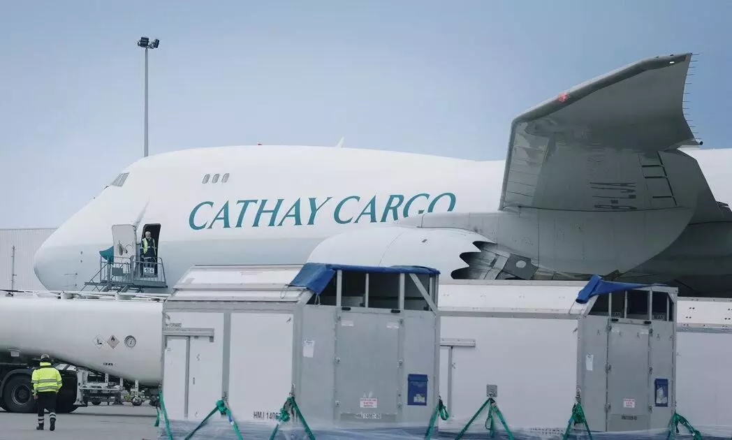 Cathay Cargo flies 60 showjumping horses from Europe to Hong Kong Cathay Cargo flies 60 showjumping horses from Europe to Hong Kong