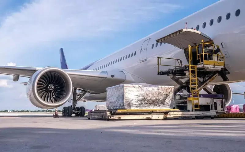 US tariffs cut shipping volumes, AfA survey shows