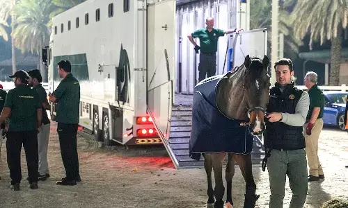 Equitrans transports horses for the Longines League Abu Dhabi