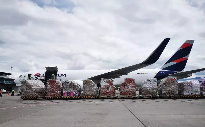 LATAM flies 24,000 tonnes of flowers to US for Valentine’s
