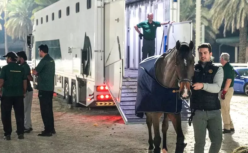 Equitrans transports horses for the Longines League Abu Dhabi
