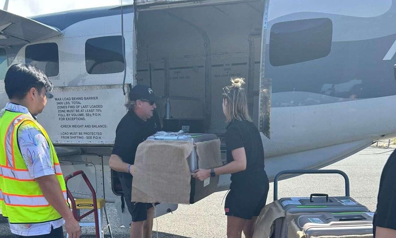 Intradco relocates four African penguins to Maui