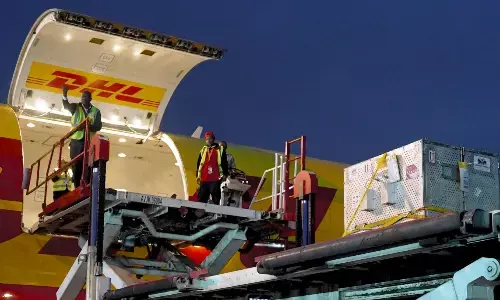 DHL helps rescued Ukraine wildcats reach UK sanctuary safely