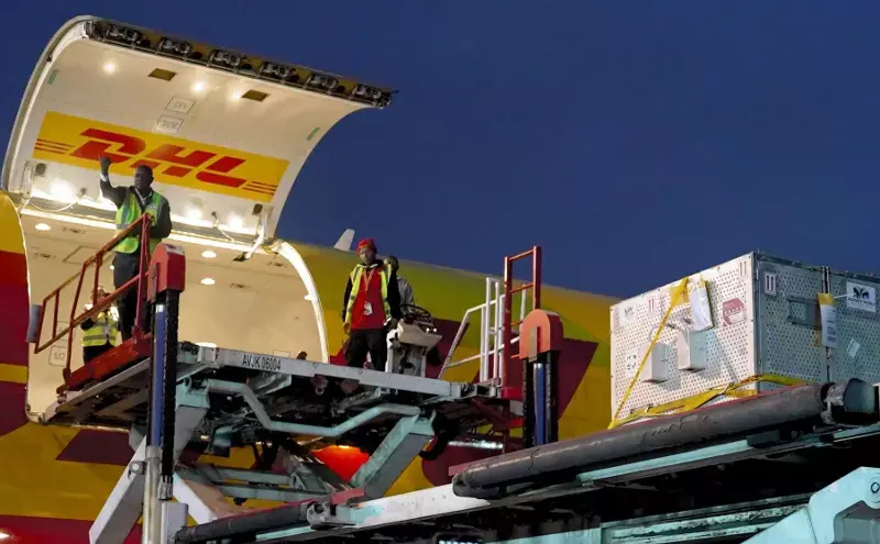 DHL helps rescued Ukraine wildcats reach UK sanctuary safely