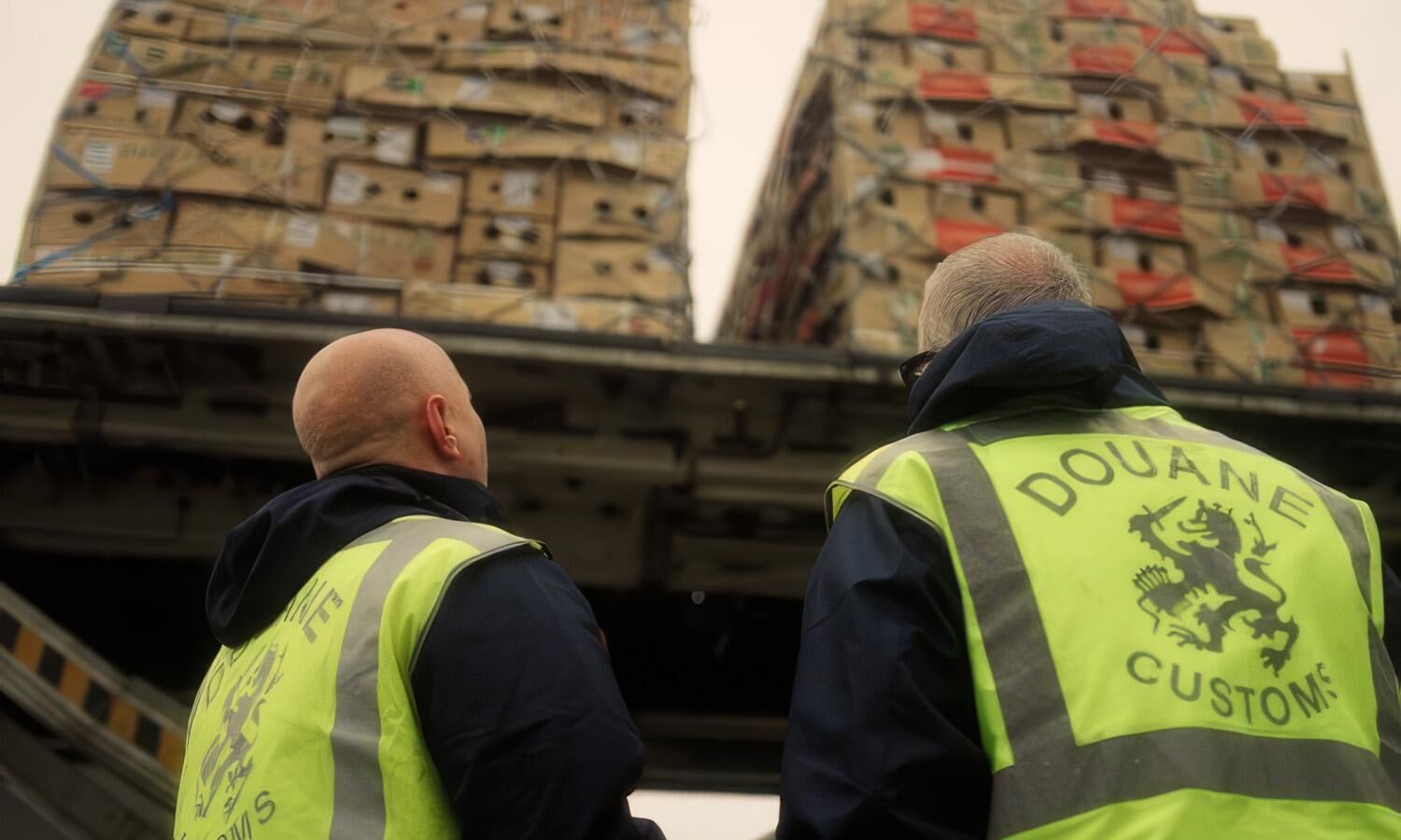 Maastricht Aachen Airport secures PNAO designation for fruit, vegetables, and flowers