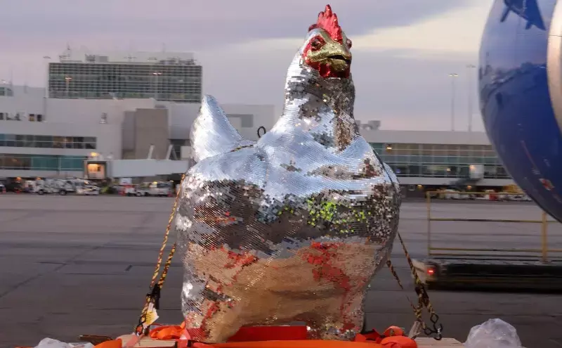 Hennifer, 8ft disco chicken flies from DEN to IAH with United Cargo