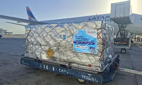 LATAM Cargo, Andes cuts CO₂ in salmon shipment to US